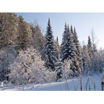 Belokur_Nature_115.jpg
