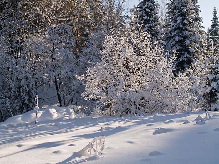 Belokur_Nature_116.jpg