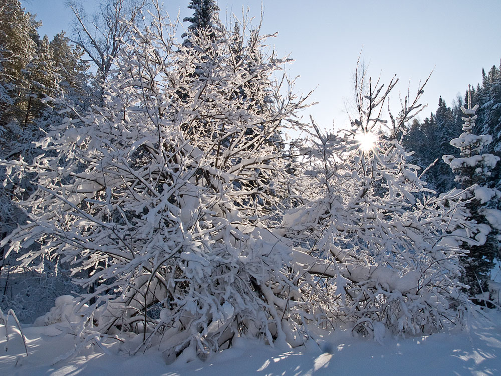 Belokur_Nature_118.jpg