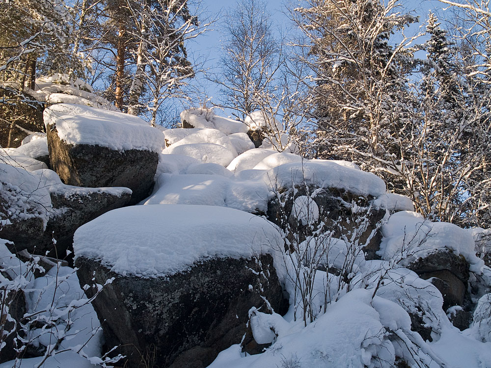 Belokur_Nature_119.jpg