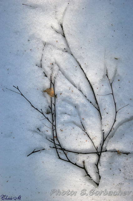 fresco_(snow_cut_work)
