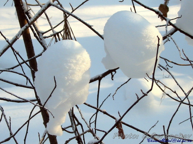 frozen_doings