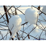 frozen_doings