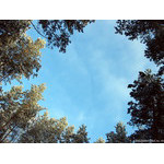 heavenly_lake