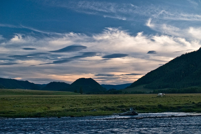 alt_1_008.jpg
