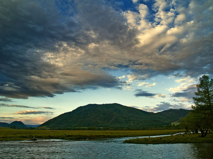 alt_1_009.jpg