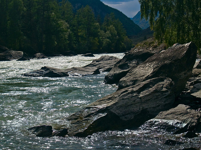 alt_1_022.jpg