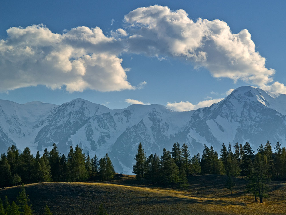 alt_1_030.jpg