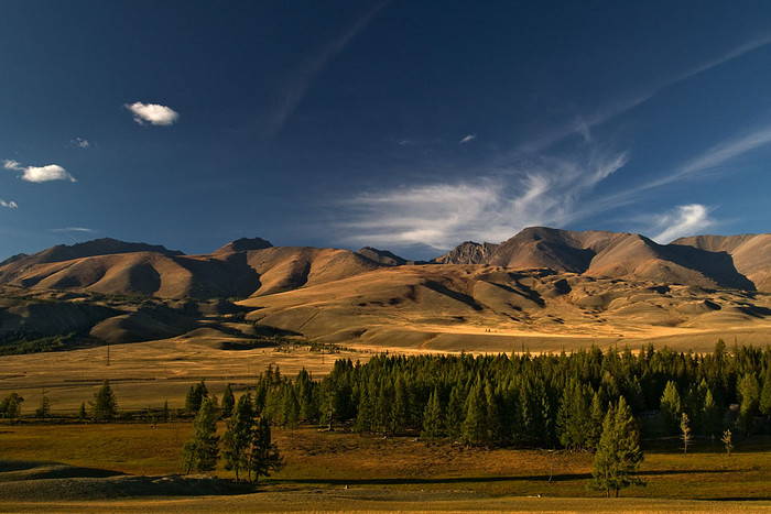 alt_1_033.jpg