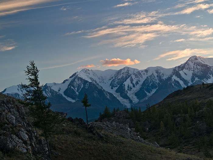 alt_1_042.jpg