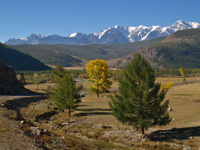 alt_1_044.jpg