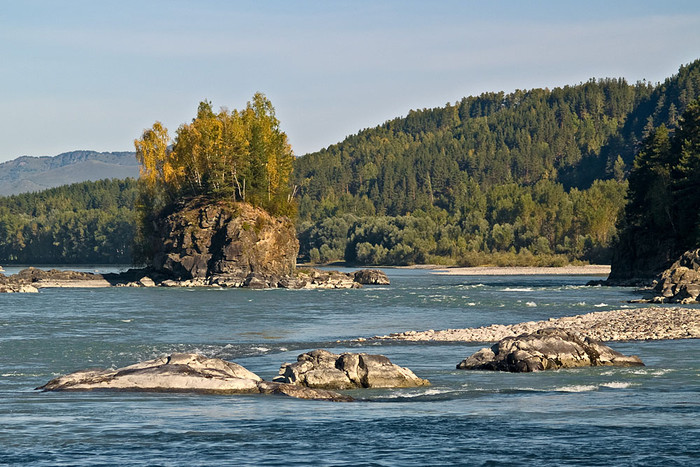 alt_2_001.jpg