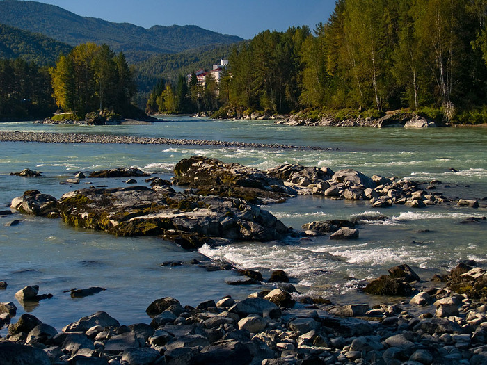alt_2_005.jpg