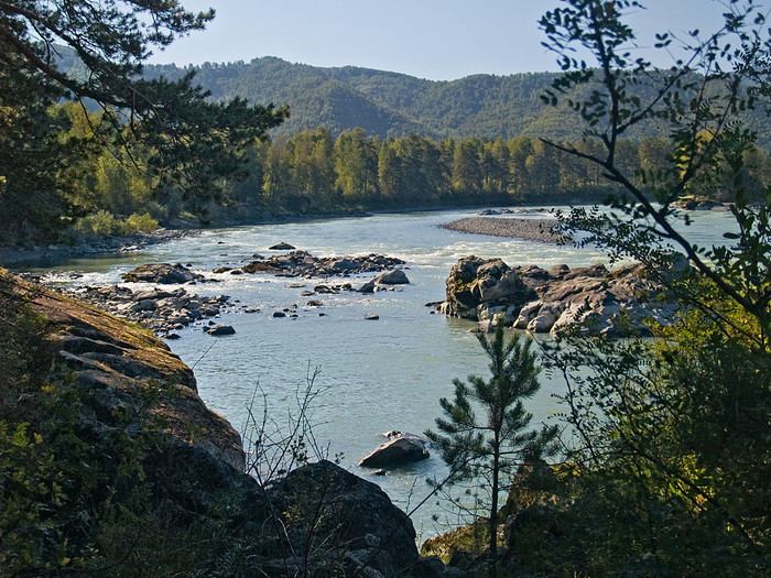 alt_2_007.jpg