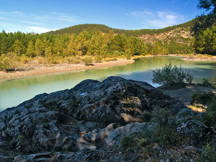 alt_2_011.jpg