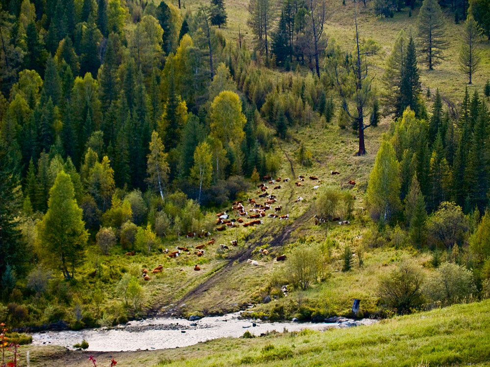 alt_2_028.jpg