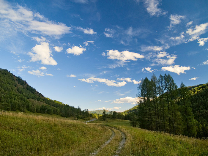 alt_2_029.jpg