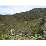 alt_2_045.jpg