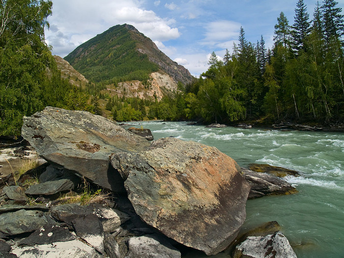 alt_2_072.jpg