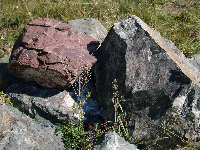 alt_2_083.jpg