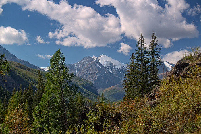 alt_2_091.jpg