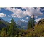 alt_2_091.jpg