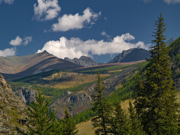 alt_2_097.jpg
