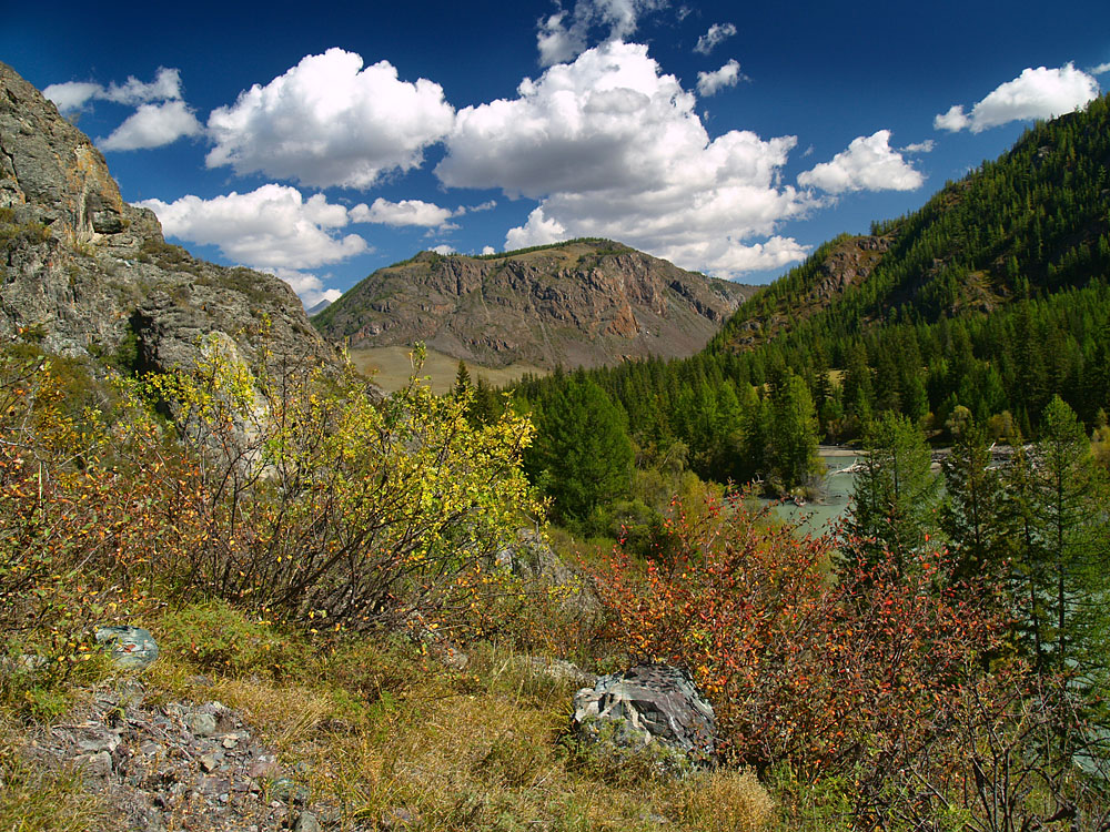alt_2_104.jpg