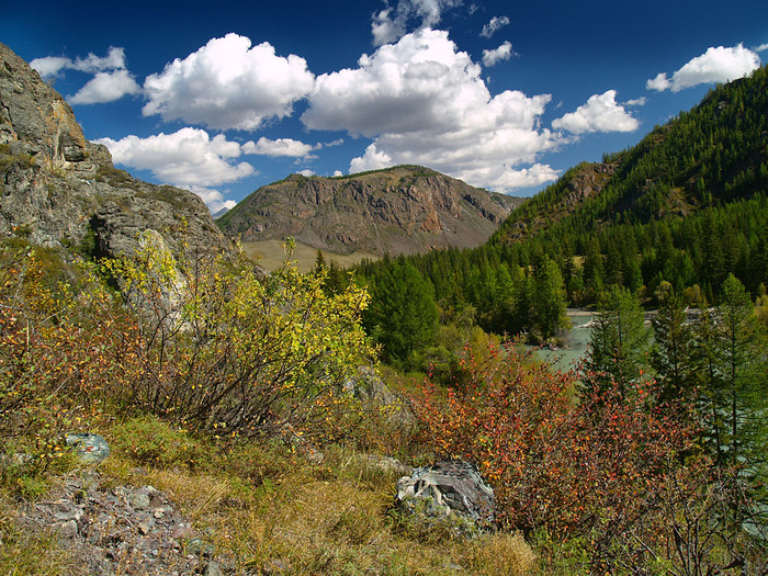 alt_2_104.jpg