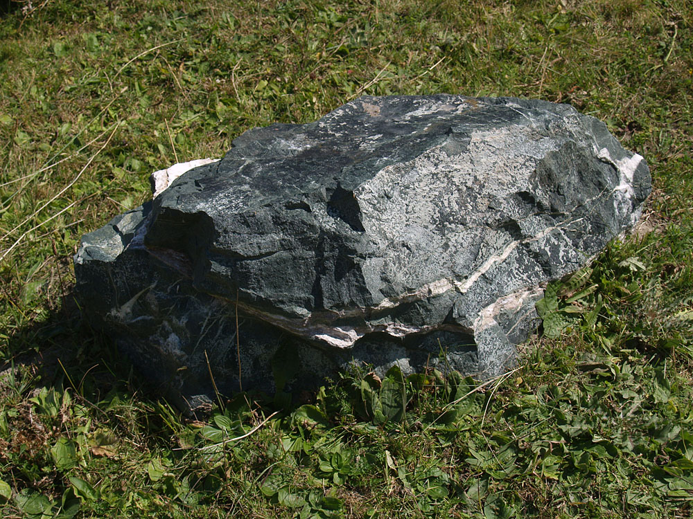 alt_2_105.jpg