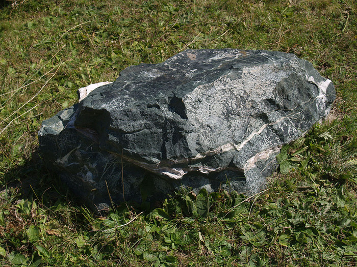 alt_2_105.jpg