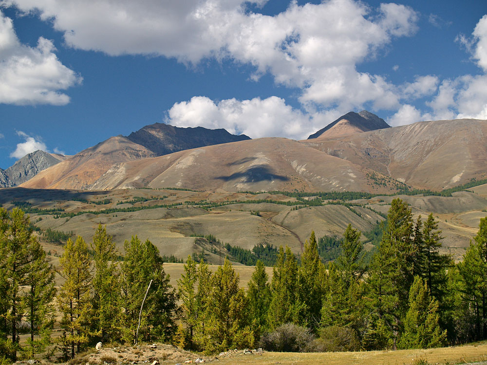 alt_2_112.jpg