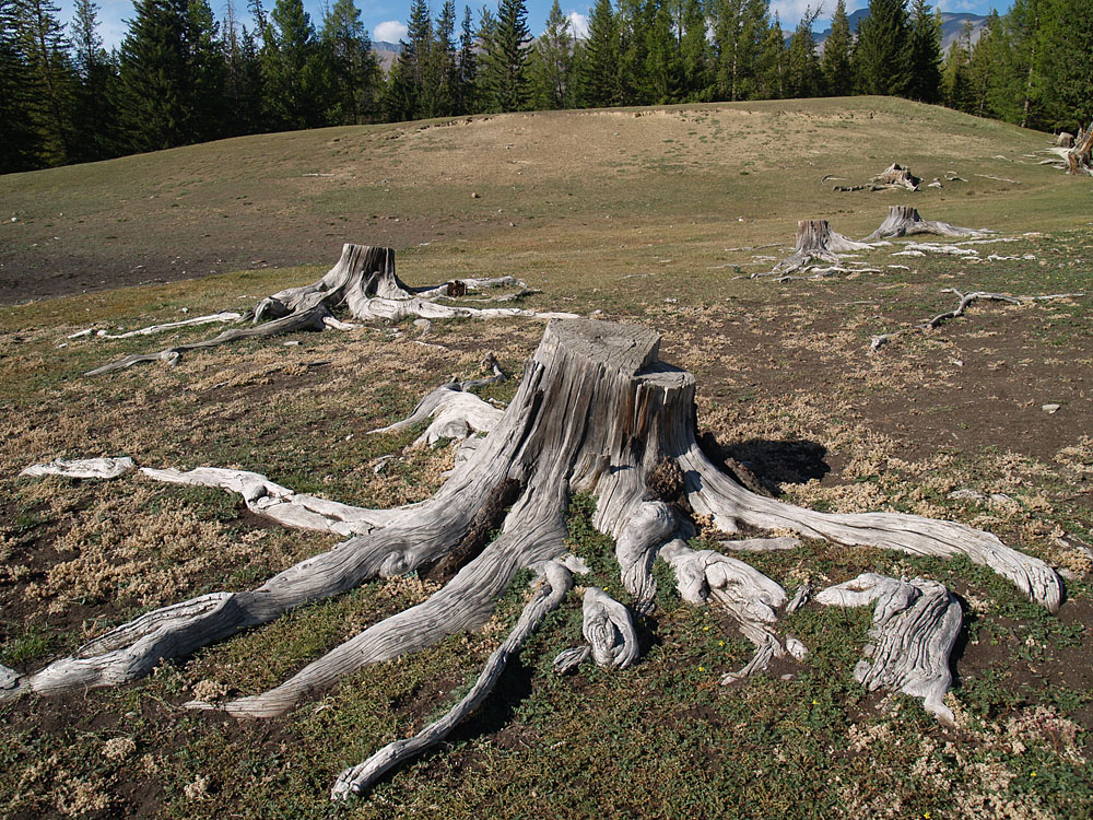 alt_2_120.jpg