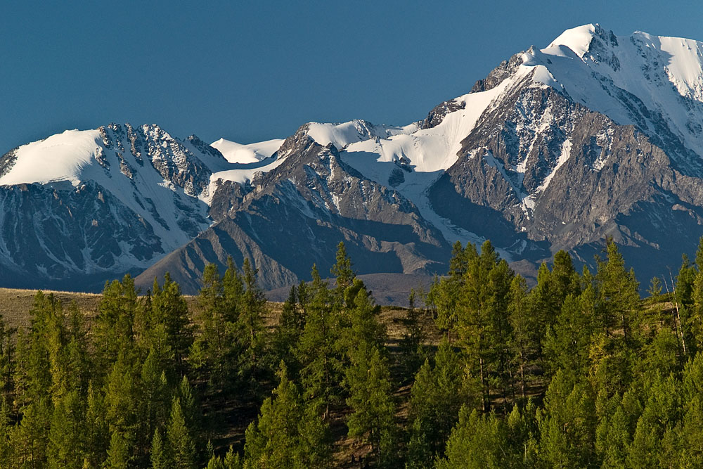 alt_2_137.jpg
