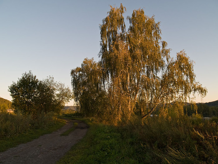 alt_3_001.jpg