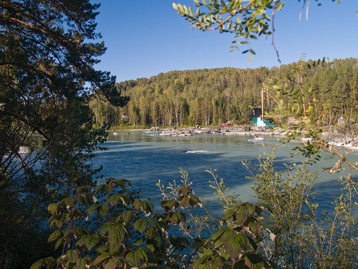 alt_3_008.jpg