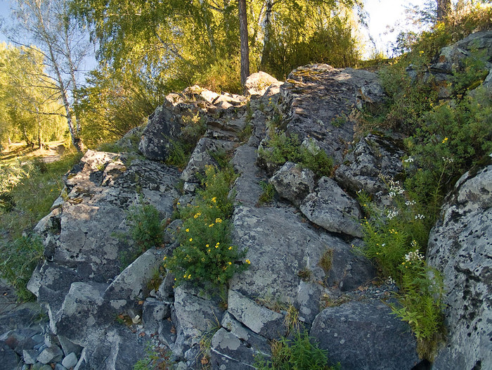 alt_3_013.jpg