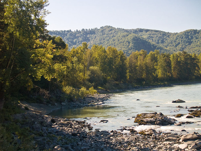 alt_3_019.jpg