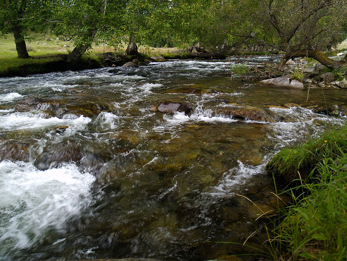 alt_3_070.jpg