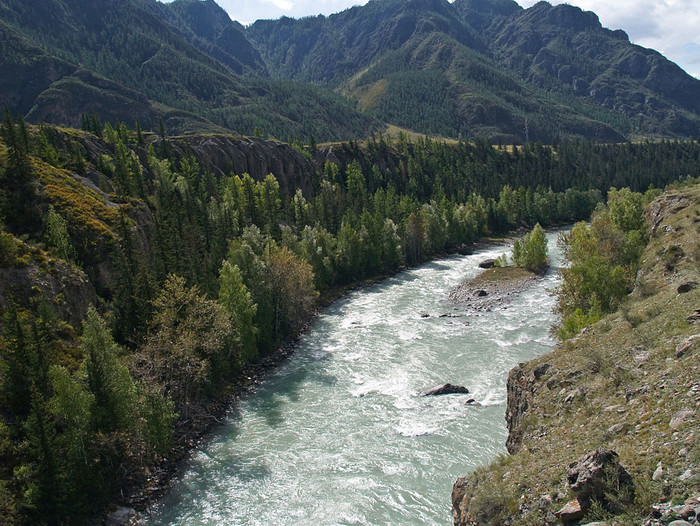 alt_3_076.jpg