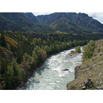 alt_3_076.jpg