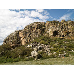 alt_3_078.jpg