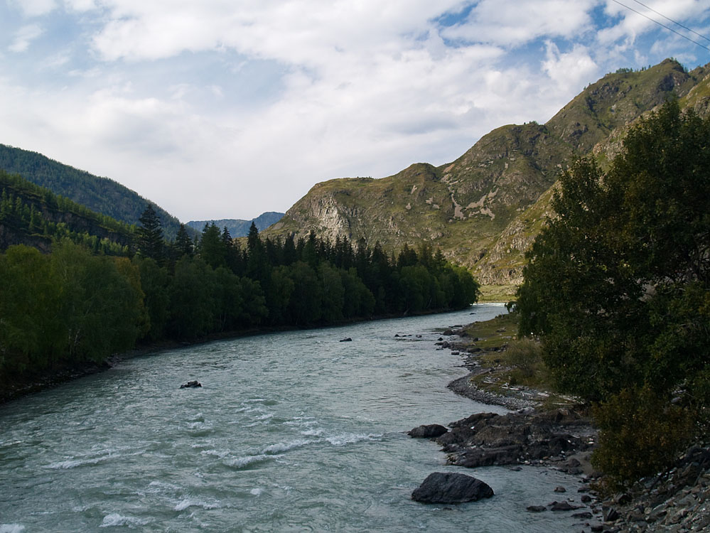 alt_3_081.jpg