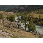 alt_3_087.jpg