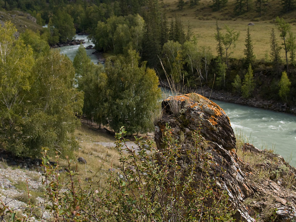alt_3_088.jpg