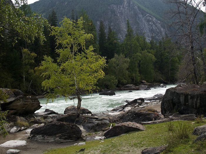 alt_3_090.jpg