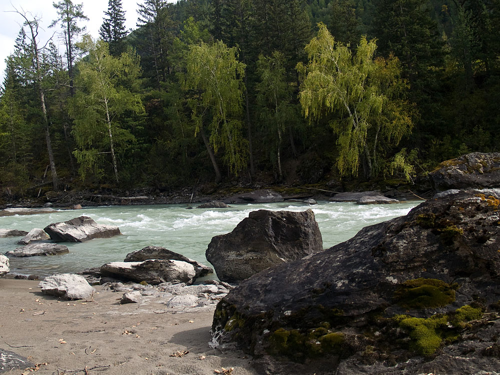 alt_3_091.jpg