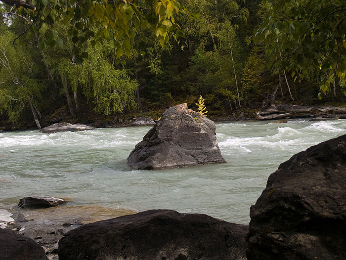 alt_3_095.jpg