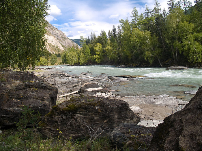 alt_3_096.jpg