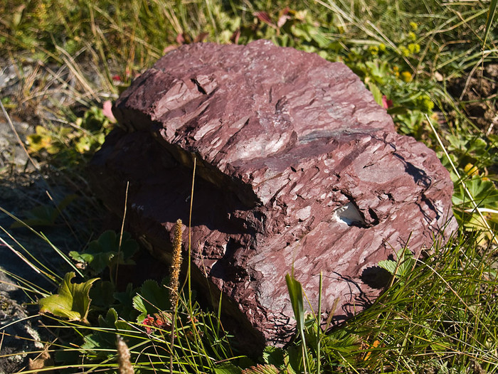 alt_3_116.jpg